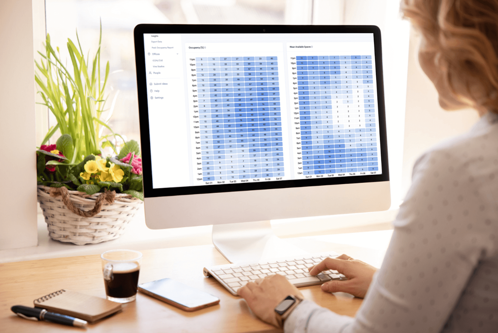 Person viewing data charts on a computer screen next to a window with plants and a coffee cup on the desk.